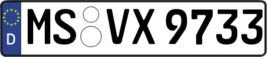 MS-VX9733