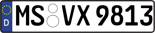 MS-VX9813