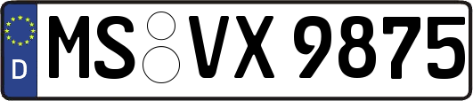 MS-VX9875