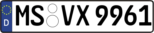 MS-VX9961