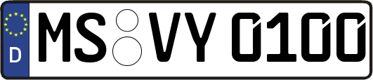 MS-VY0100