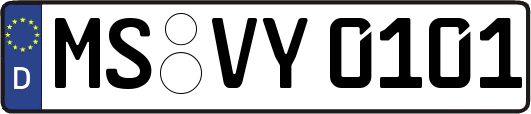 MS-VY0101