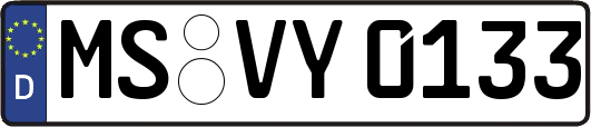 MS-VY0133