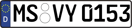 MS-VY0153
