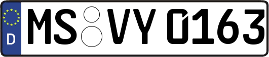 MS-VY0163