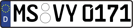 MS-VY0171