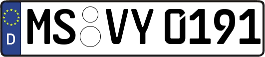 MS-VY0191