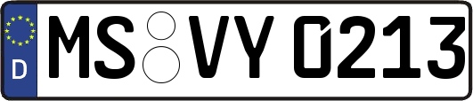 MS-VY0213