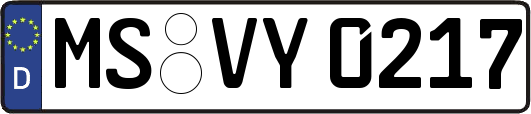 MS-VY0217