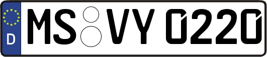 MS-VY0220