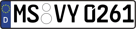 MS-VY0261