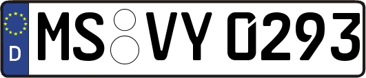 MS-VY0293