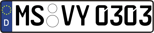 MS-VY0303