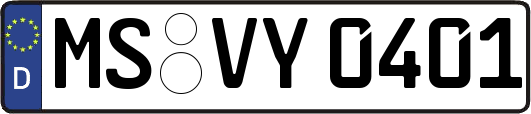 MS-VY0401