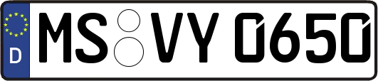 MS-VY0650