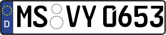 MS-VY0653