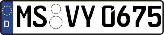 MS-VY0675
