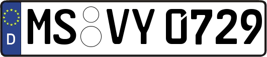MS-VY0729