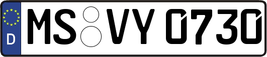 MS-VY0730