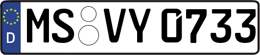 MS-VY0733