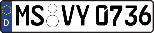 MS-VY0736