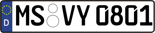 MS-VY0801