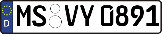 MS-VY0891
