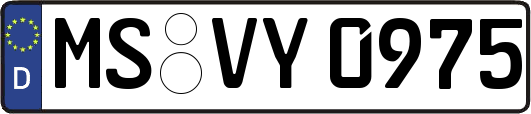 MS-VY0975