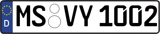 MS-VY1002