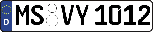 MS-VY1012