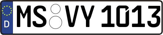 MS-VY1013