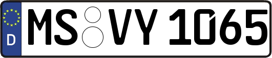 MS-VY1065