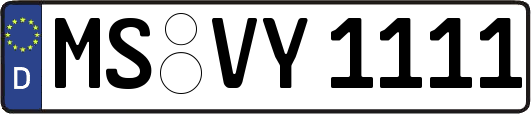 MS-VY1111