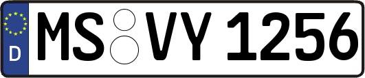 MS-VY1256