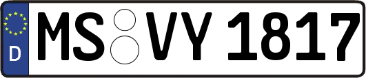 MS-VY1817