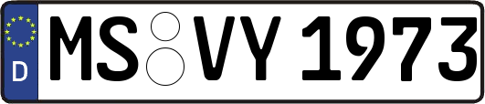 MS-VY1973