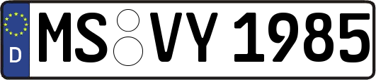 MS-VY1985