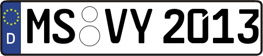 MS-VY2013