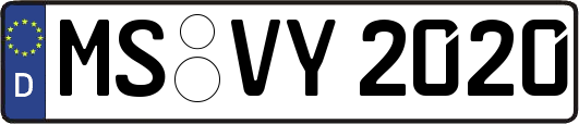 MS-VY2020