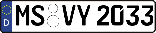 MS-VY2033