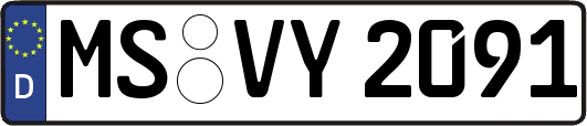 MS-VY2091