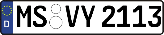 MS-VY2113
