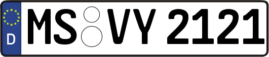 MS-VY2121