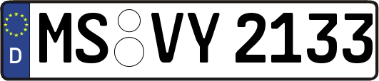 MS-VY2133