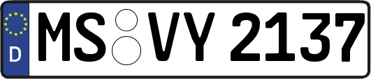 MS-VY2137