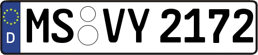 MS-VY2172