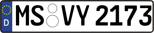 MS-VY2173