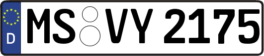 MS-VY2175
