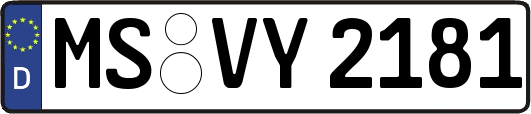MS-VY2181