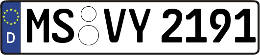 MS-VY2191